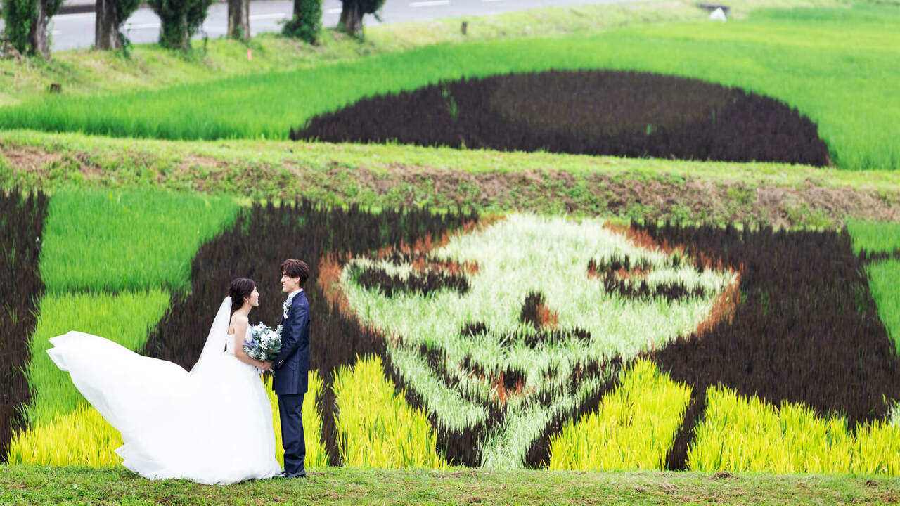株式会社八芳園交流コンテンツプロデュースの会社TOPの写真2枚目