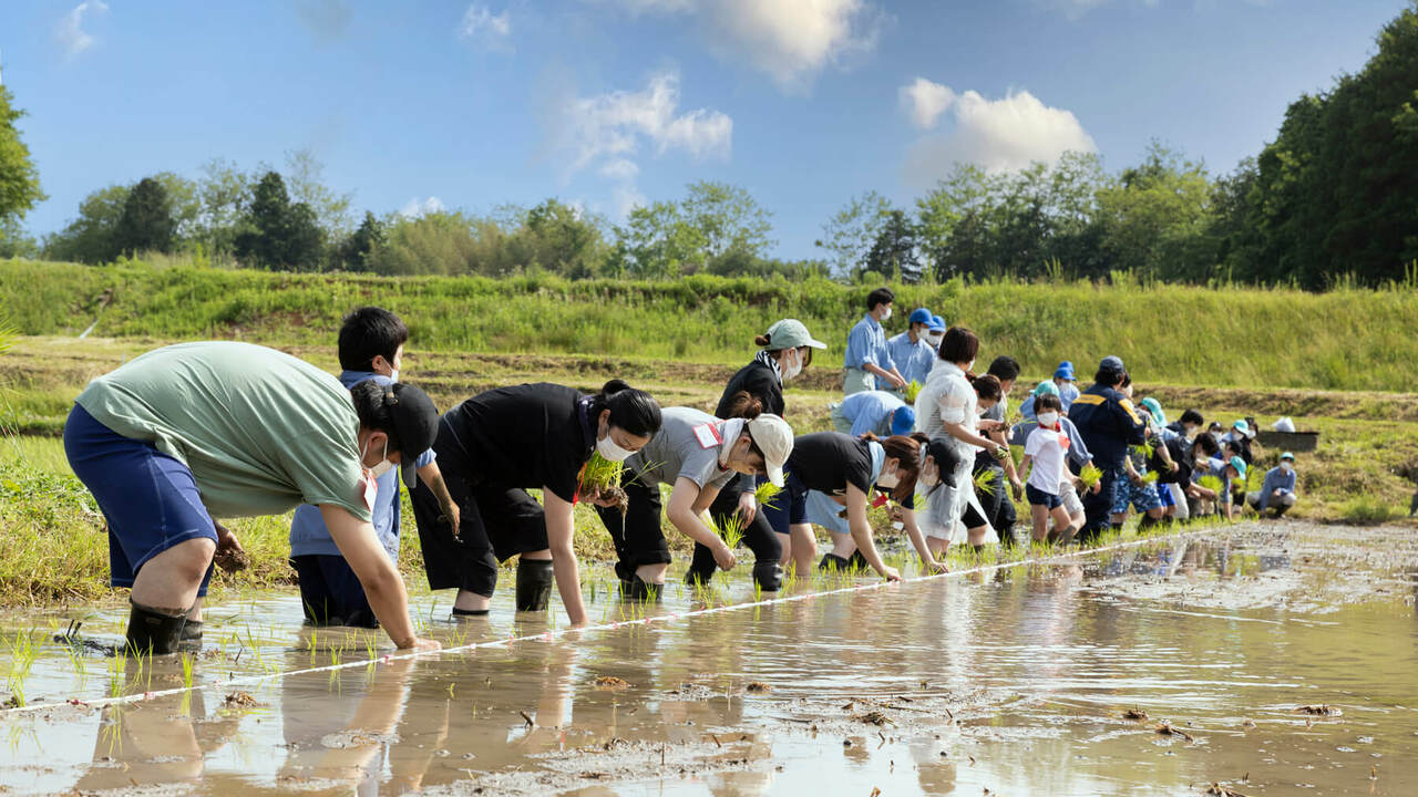 株式会社八芳園交流コンテンツプロデュースで働く人の写真2枚目