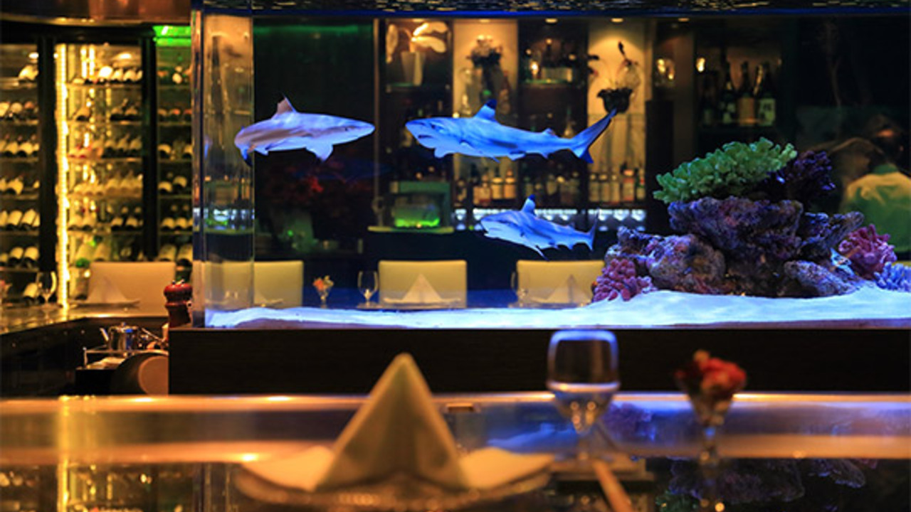 株式会社セブンヒルズ宮古島の事業内容の写真3枚目