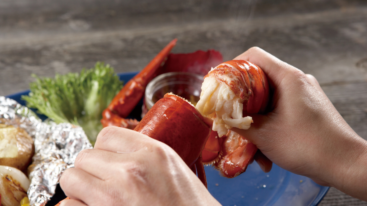 レッドロブスタージャパン株式会社のこだわりポイントの写真1枚目