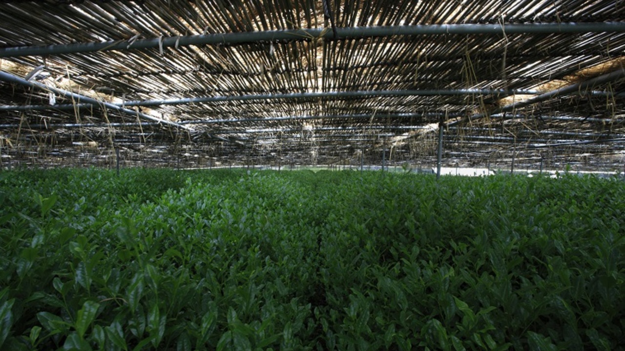 株式会社ロマンライフのこだわりポイントの写真4枚目