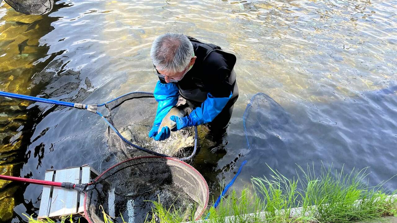 株式会社奈良井まちやどのこだわりポイントの写真4枚目