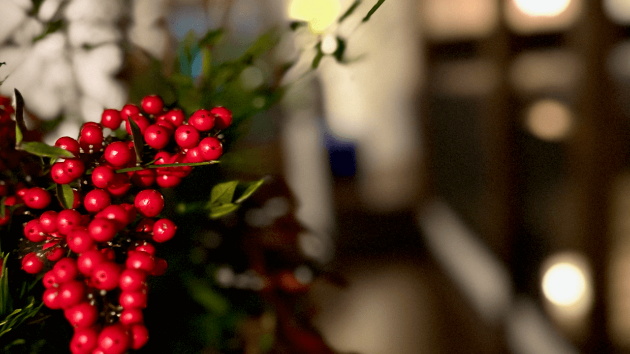 有限会社FAIの会社TOPの写真4枚目