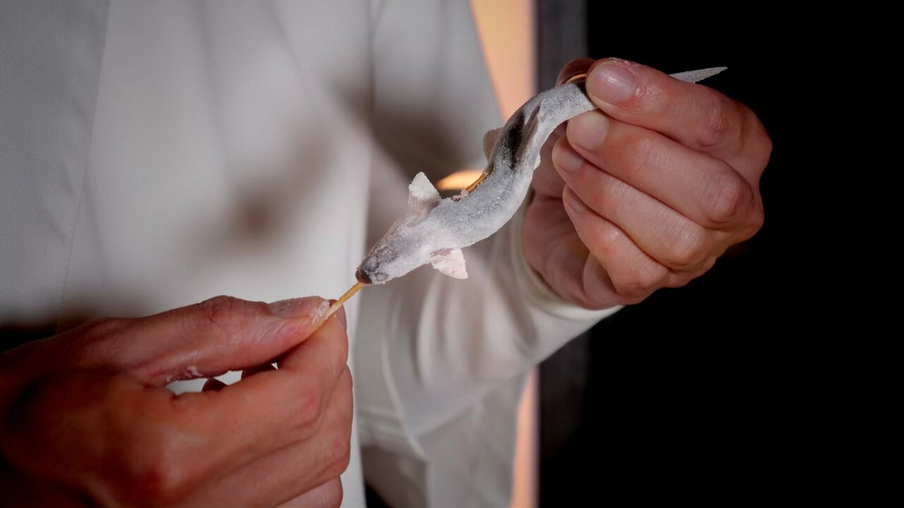 株式会社キブスで働く人の写真3枚目