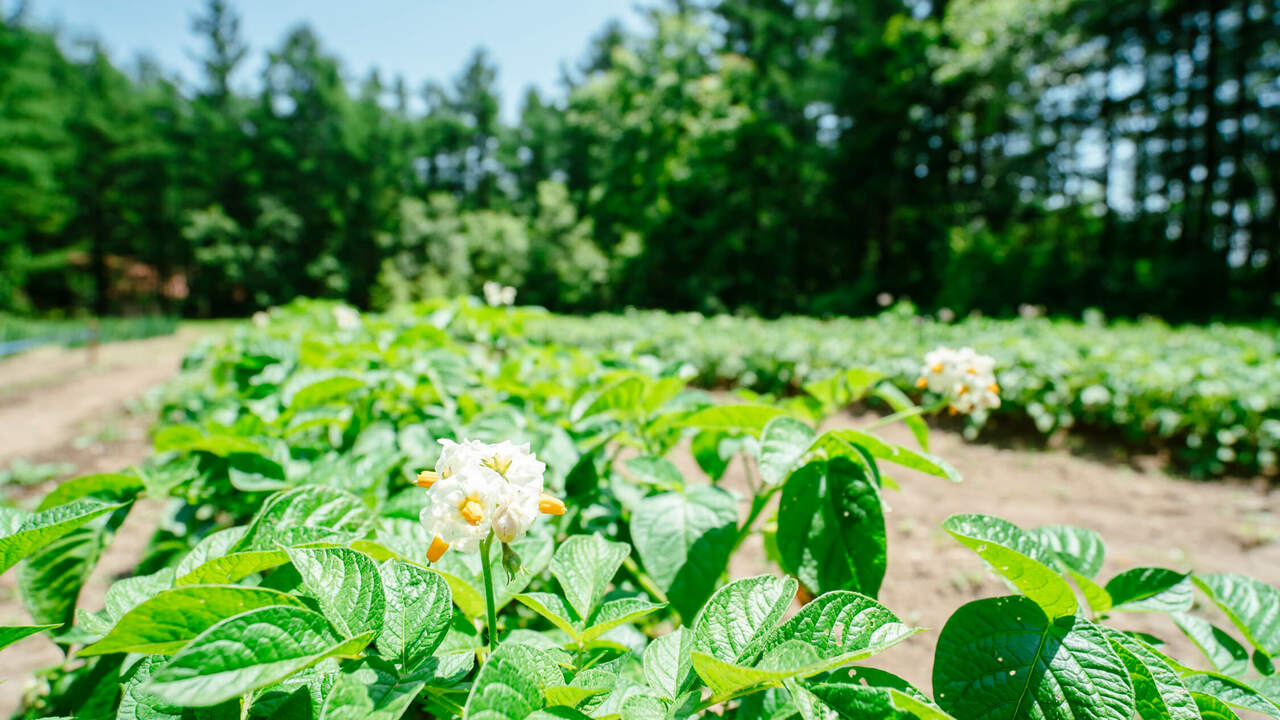 キャピタル・ゼンリン株式会社のこだわりポイントの写真2枚目