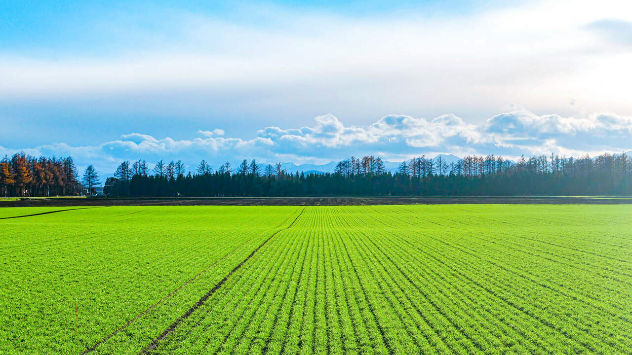 キャピタル・ゼンリン株式会社の会社TOPの写真1枚目