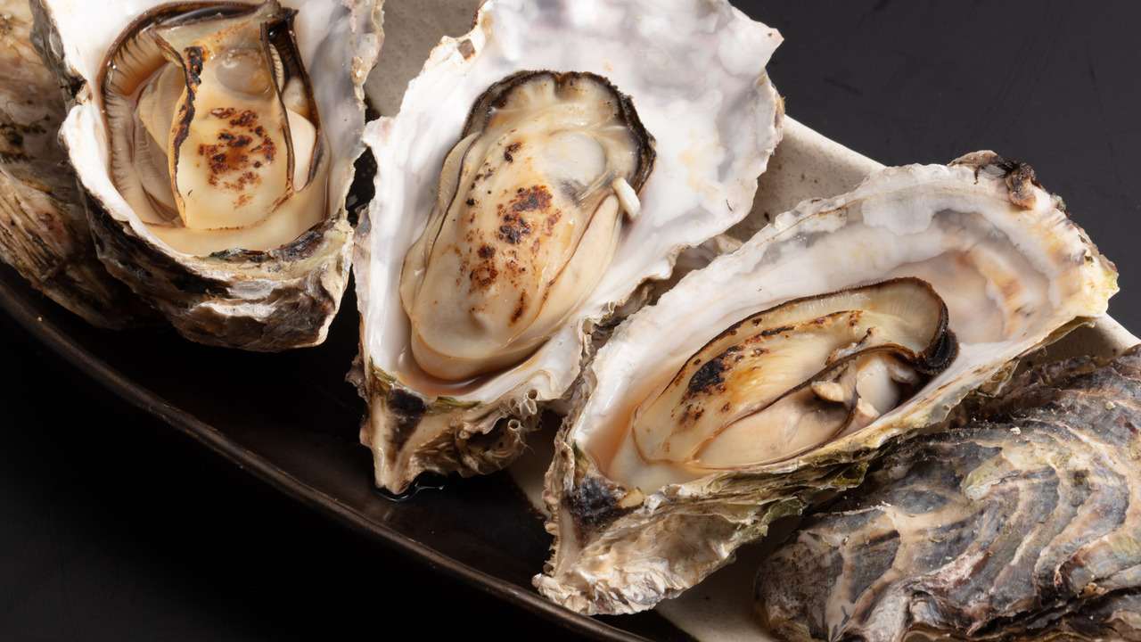 株式会社ミッションの会社TOPの写真3枚目