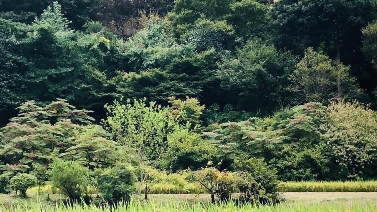 株式会社39ダイニングのこだわりポイントの写真3枚目