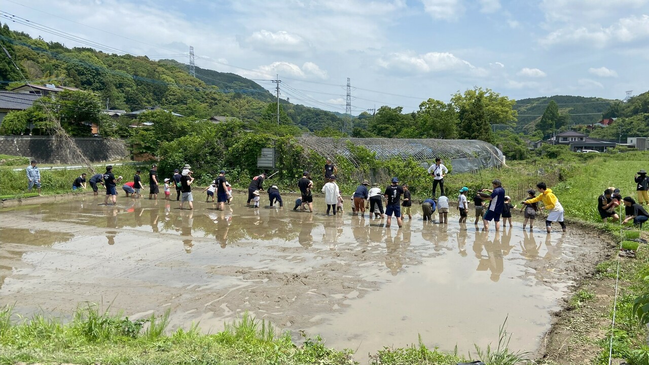 株式会社39ダイニングの会社TOPの写真4枚目