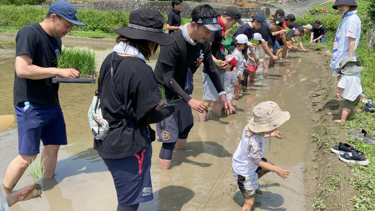 株式会社39ダイニングの事業内容の写真3枚目