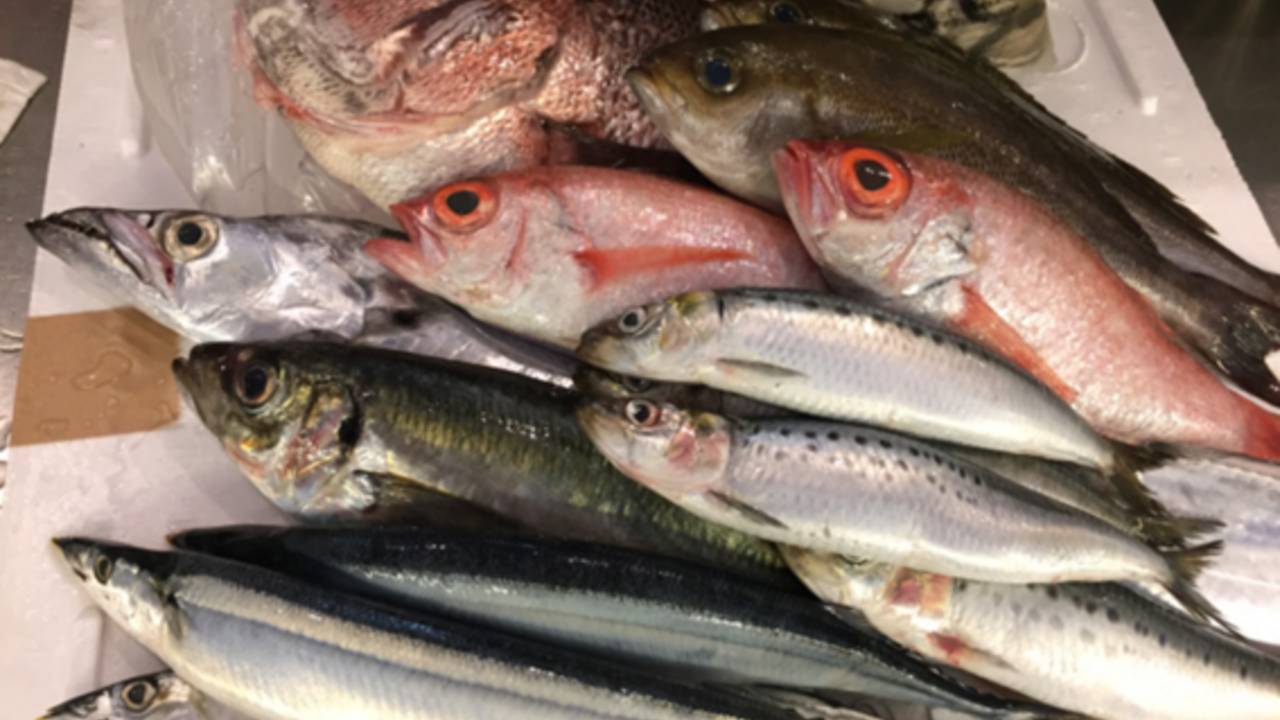 株式会社魚漁のこだわりポイントの写真2枚目