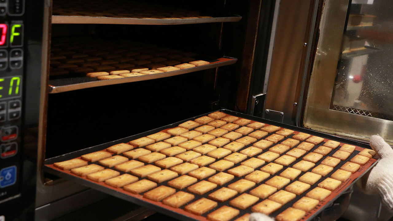 白井屋ホテル株式会社の事業内容の写真3枚目