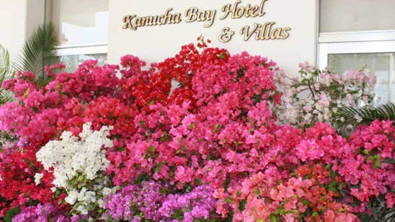 株式会社カヌチャベイリゾートで働く人の写真1枚目