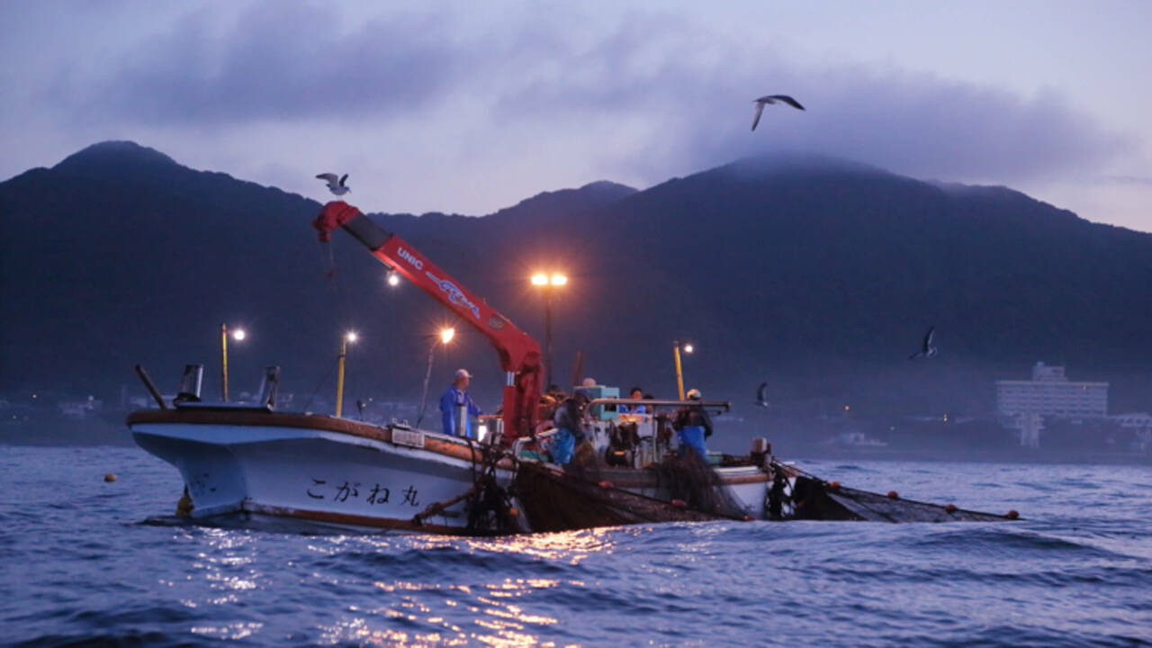 株式会社こがねのこだわりポイントの写真1枚目