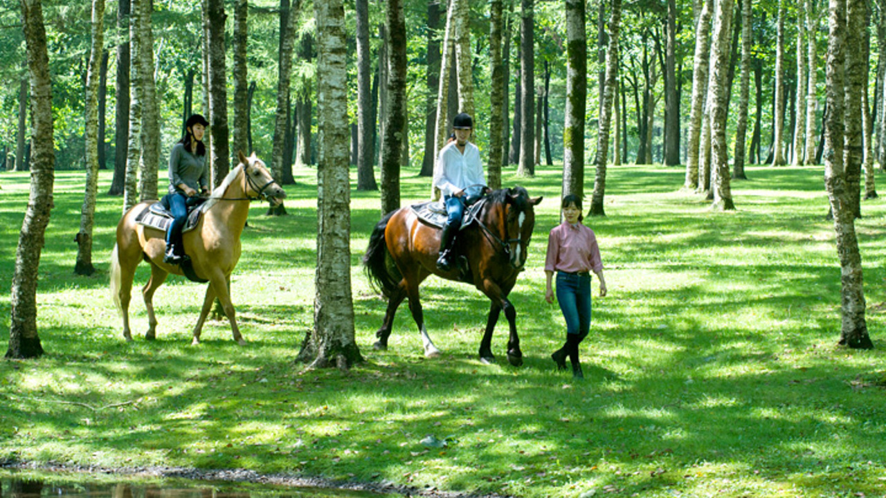 株式会社ノーザンホースパークの会社TOPの写真2枚目