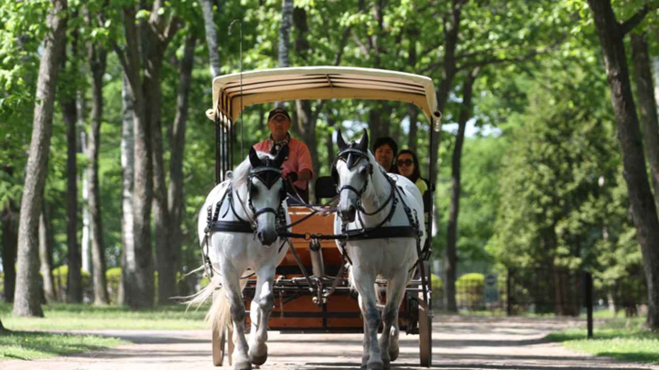 株式会社ノーザンホースパークで働く人の写真1枚目