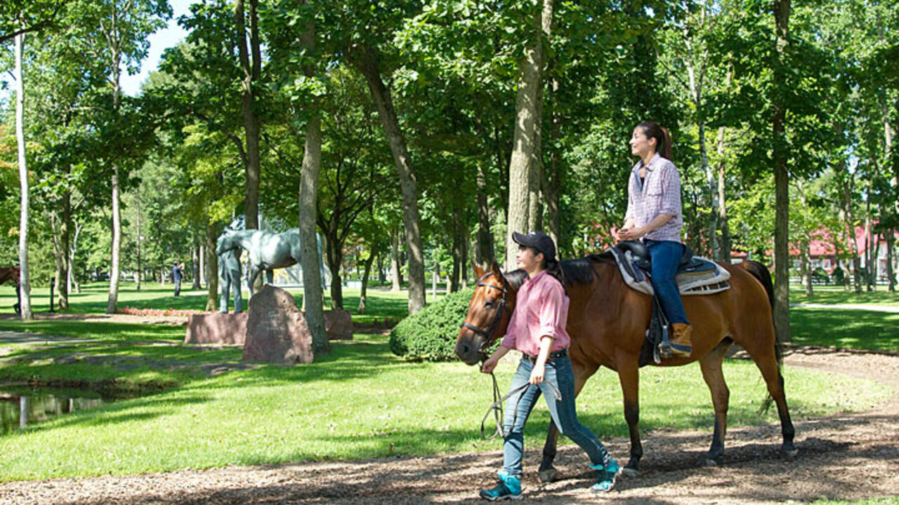 株式会社ノーザンホースパークの事業内容の写真1枚目