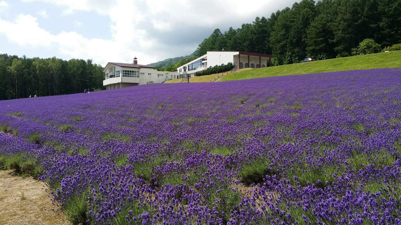 株式会社富良野振興公社のこだわりポイントの写真2枚目