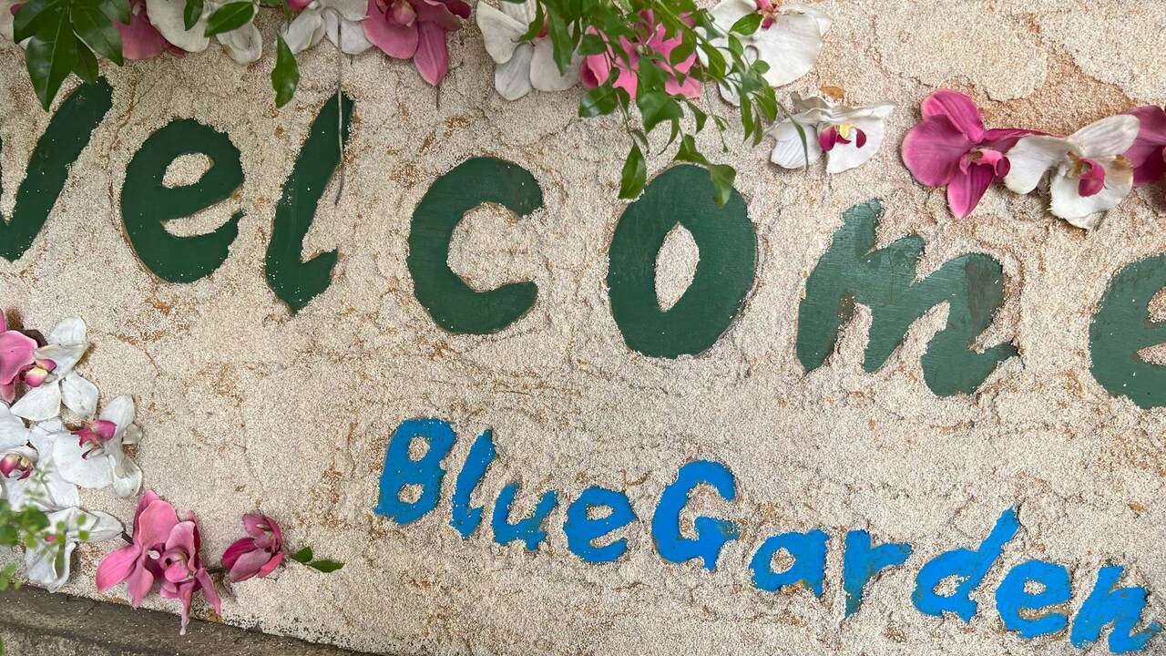 株式会社バースのこだわりポイントの写真1枚目