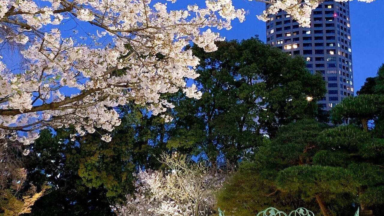 株式会社キューイーディークラブのこだわりポイントの写真2枚目