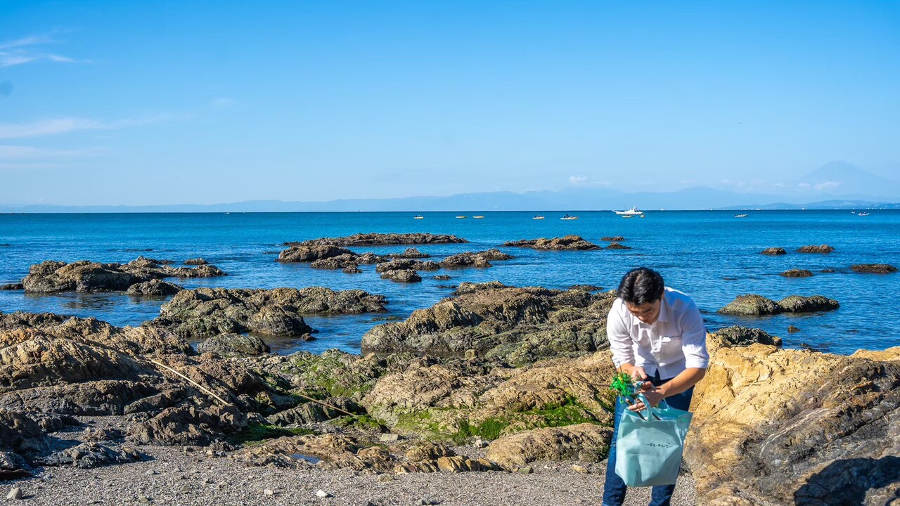 葉山うみのホテル|調理見習い・調理補助の求人画像2枚目