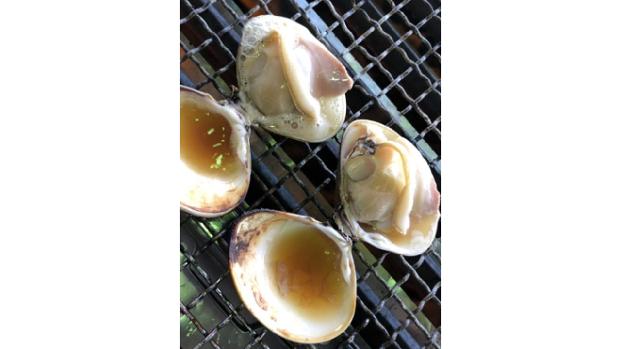 江ノ島　貝作|料理長・料理長候補の求人画像4枚目