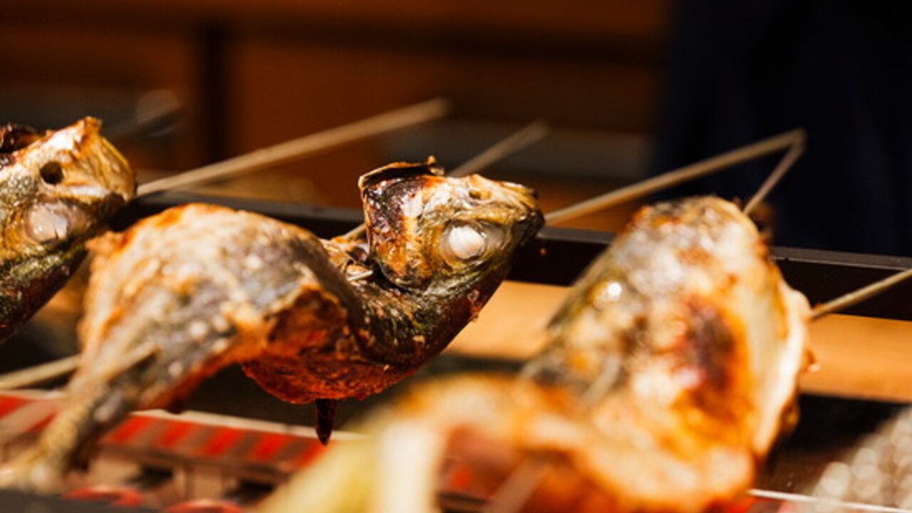 魚河岸田 表参道|料理長・料理長候補の求人画像1枚目
