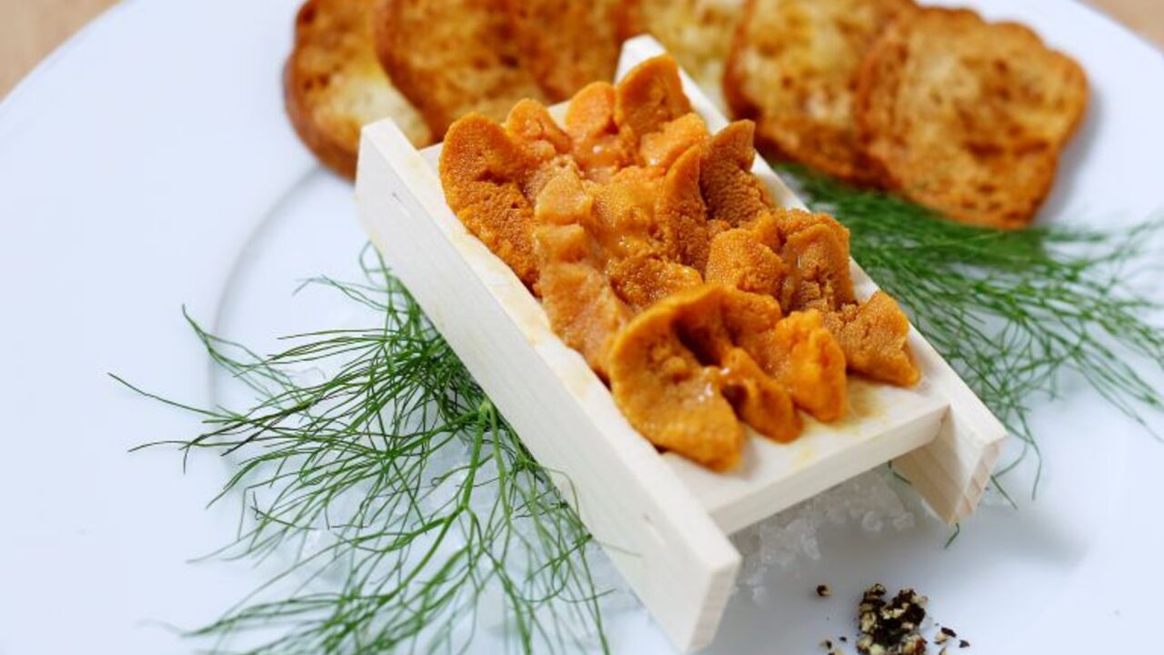 ビストロシロ フレンチ, 洋食・西洋料理 | ソムリエ)の求人の写真 3枚目