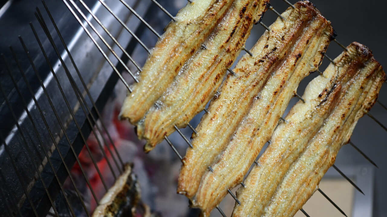 炭焼うな富士 炭焼うな富士　名駅店 和食, 日本料理・懐石料理 | キッチンスタッフ)の求人の写真 4枚目