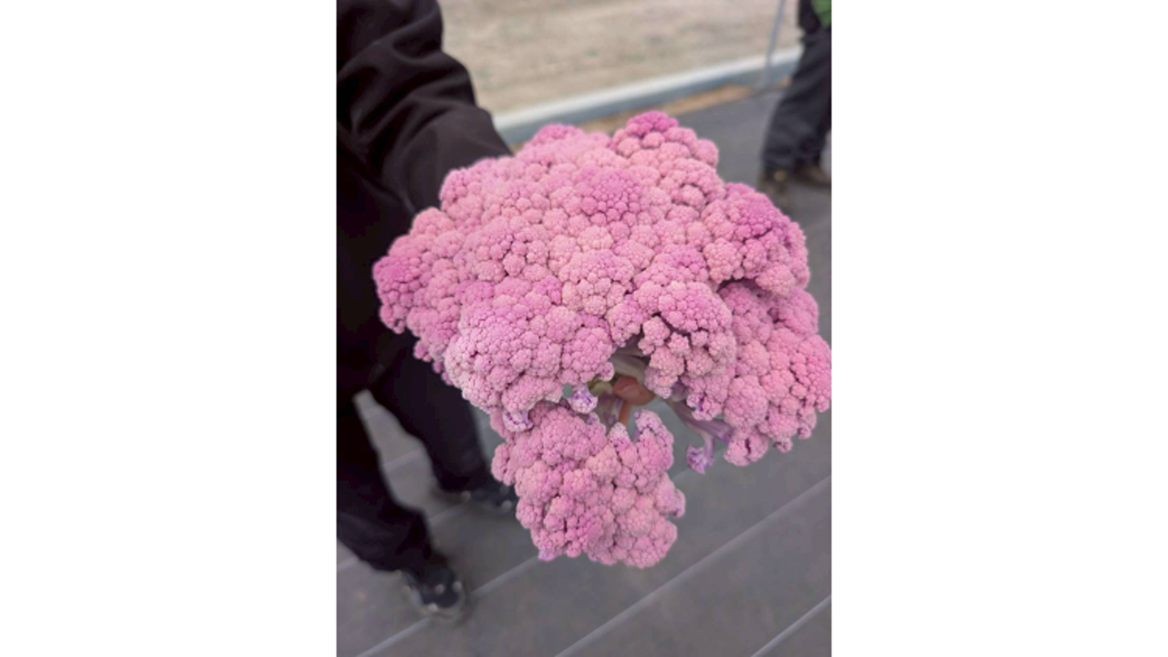 株式会社マチルダ|本部スタッフの求人画像3枚目