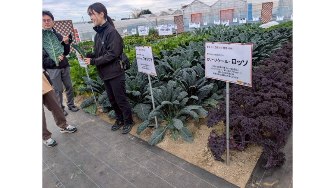 株式会社マチルダ|営業管理職・経営幹部の求人画像2枚目