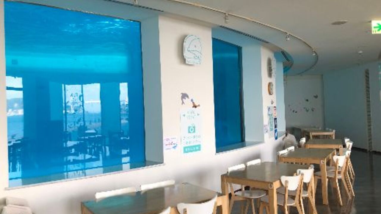 イルカの見えるレストラン|料理長・料理長候補の求人画像2枚目
