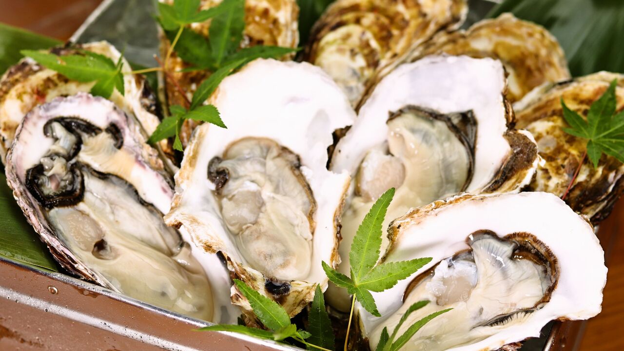 藤門 FUJIMON|料理長・料理長候補の求人画像3枚目