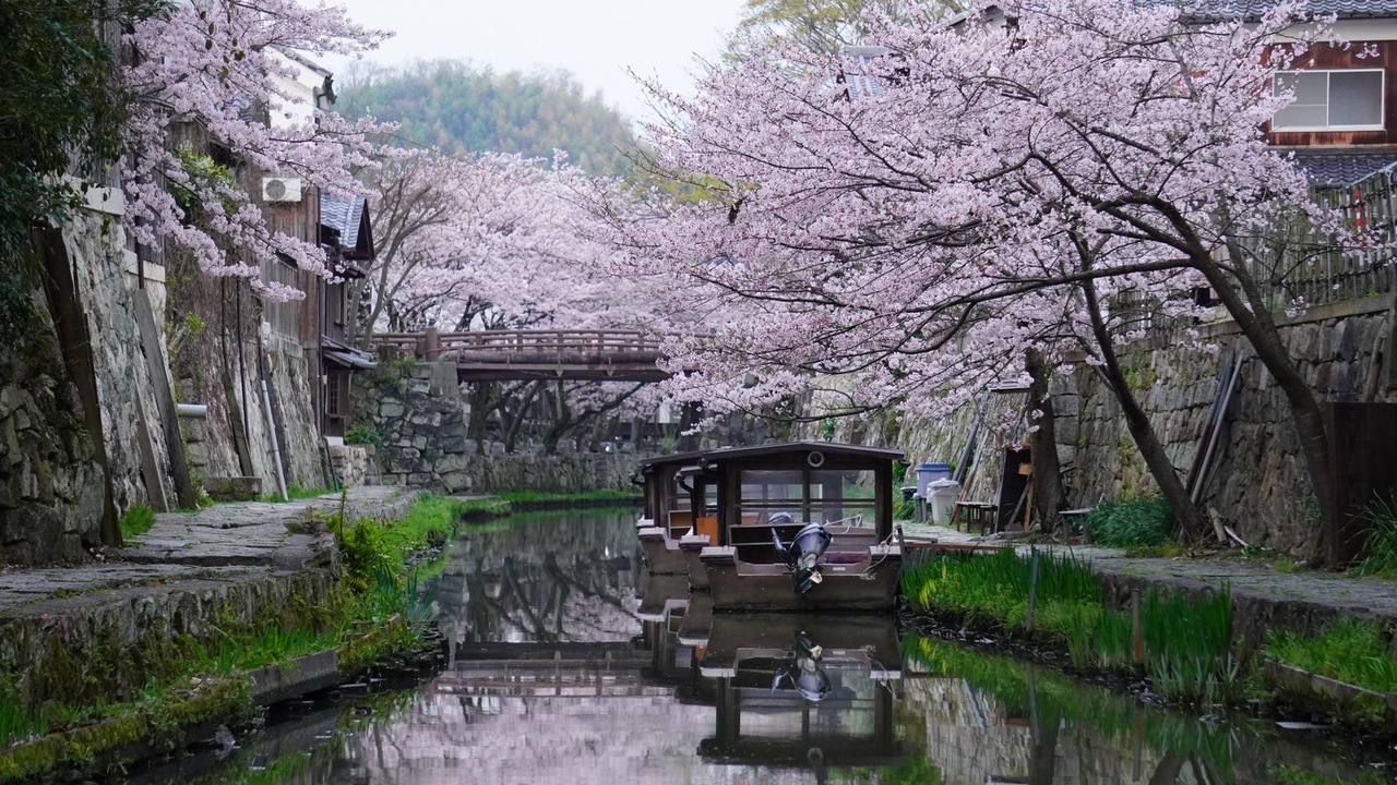 旅籠 八...|料理長・料理長候補の求人画像2枚目