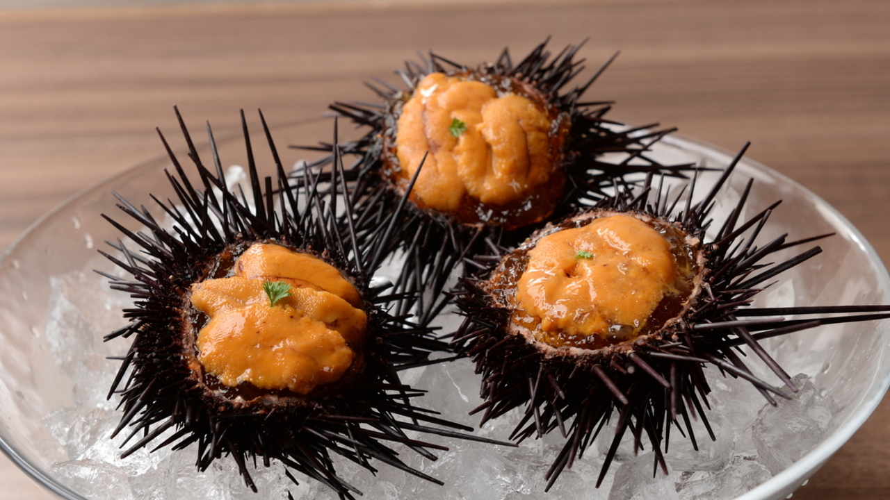 俺のフレンチ|レストランサービス・ホールスタッフの求人画像2枚目