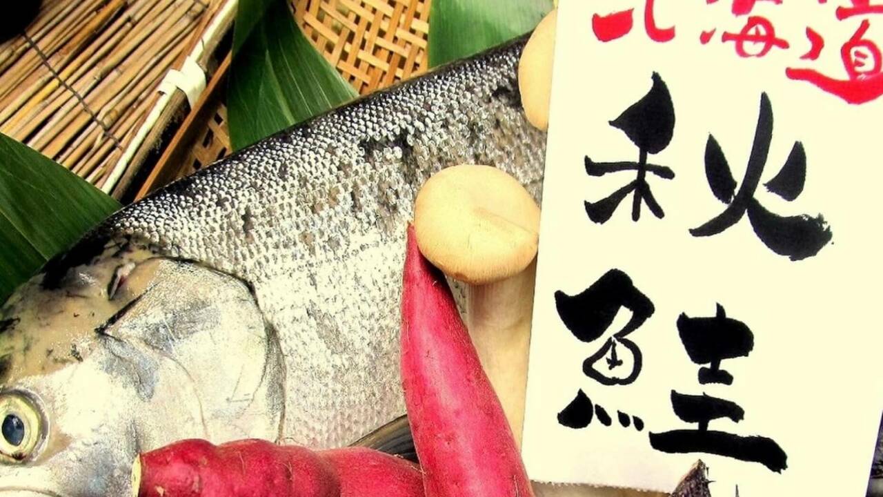 金の独楽|料理長・料理長候補の求人画像1枚目