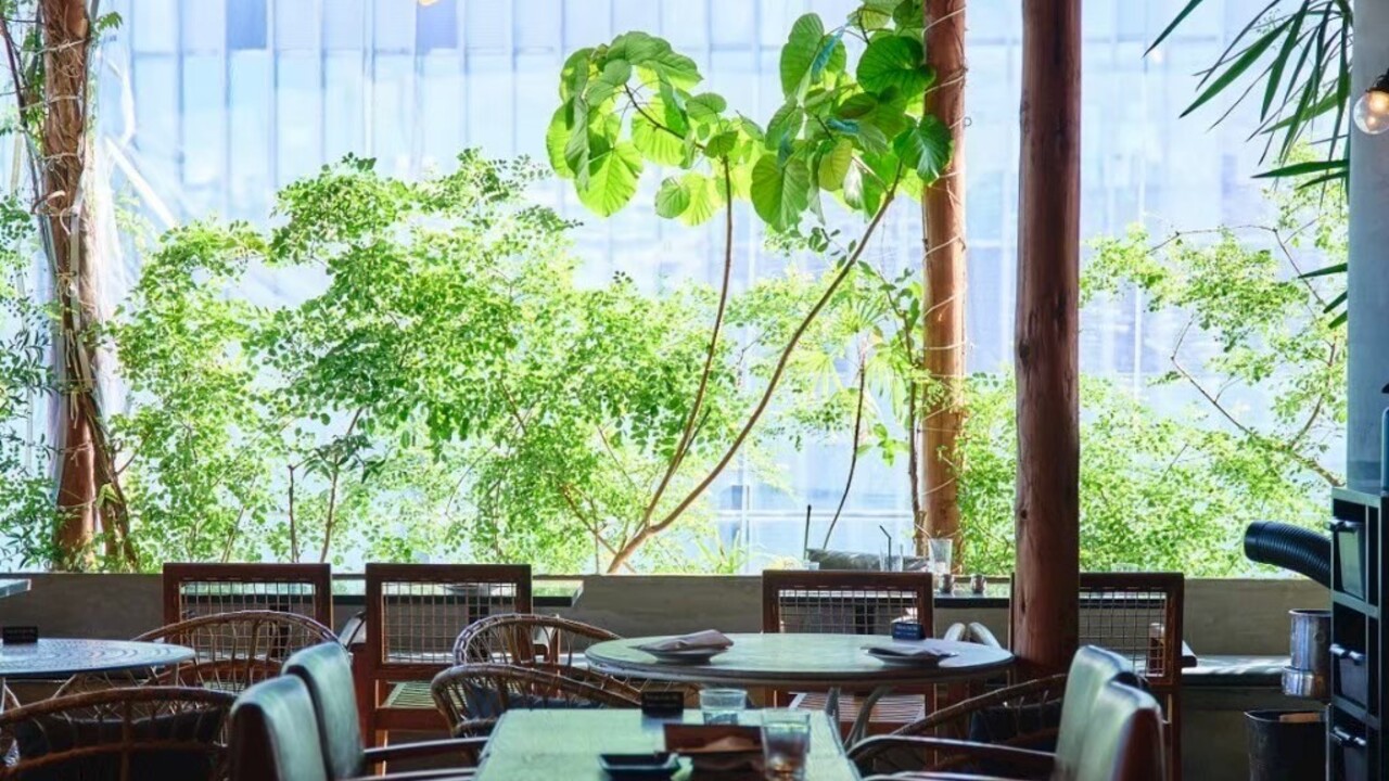 CHICAMA イタリアン, スペイン料理 | 料理長・料理長候補)の求人の写真 1枚目