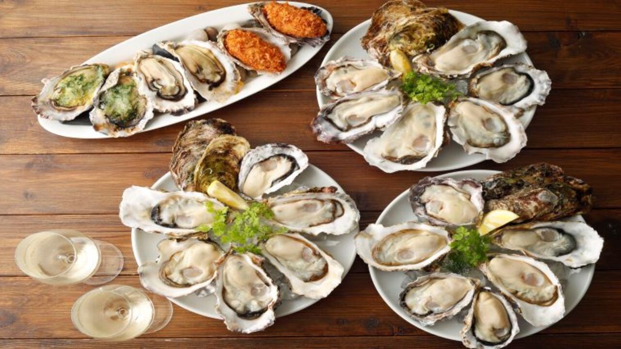 8th sea oysterbar|料理長・料理長候補の求人画像1枚目