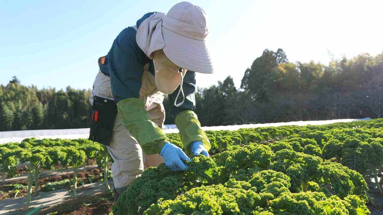 GONNA DAYS Mr.LAND株式会社 専門店（各国料理）, その他(料理ジャンル) | 商品開発)の求人の写真 3枚目