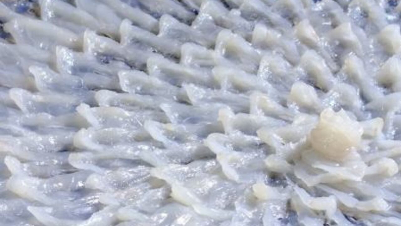 竹なか 旬魚と旬菜 和食, 日本料理・懐石料理 | キッチンスタッフ)の求人の写真 3枚目