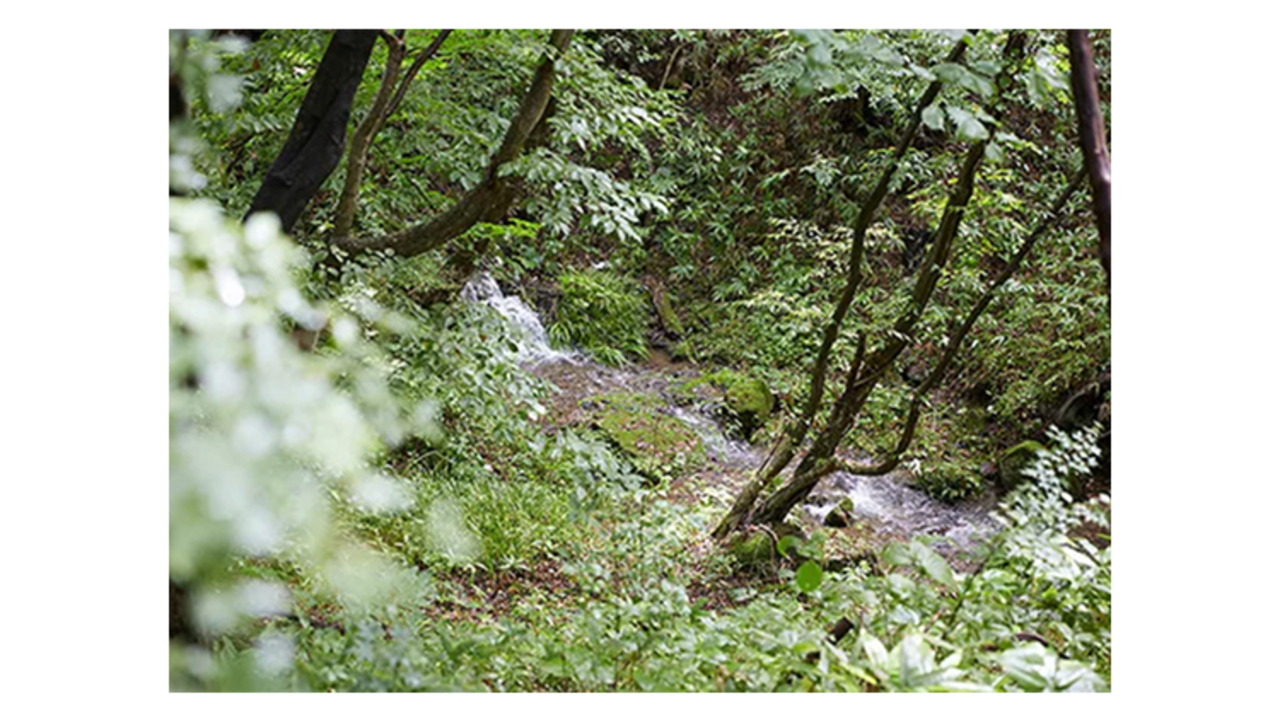 那須高原の宿 山水閣|調理見習い・調理補助の求人画像3枚目