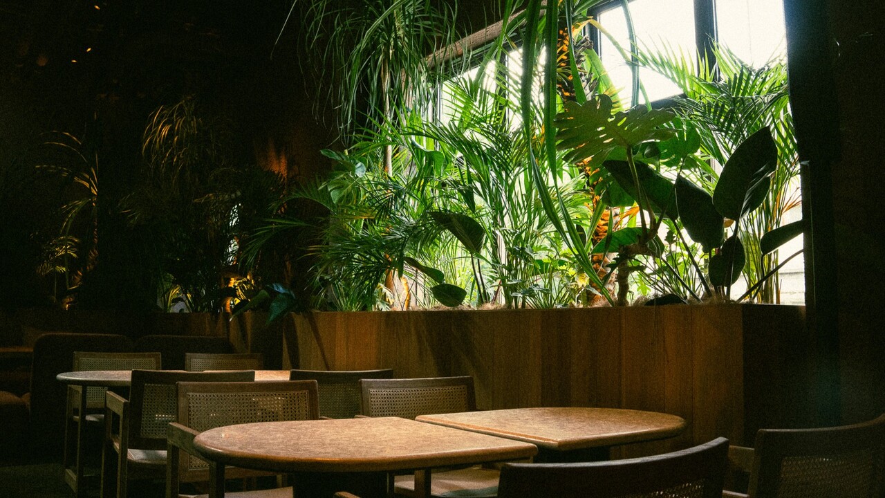 NÜCHI by WPÜ|バーテンダーの求人画像3枚目