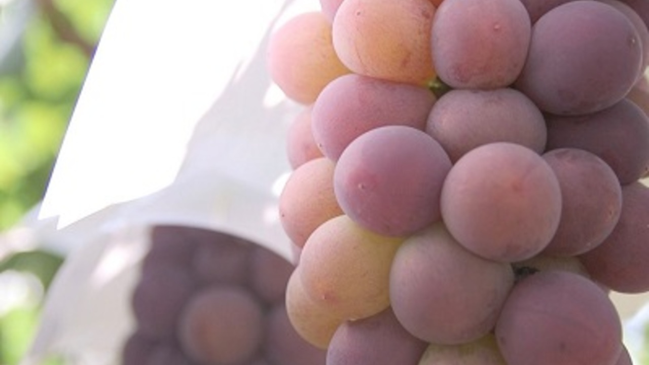 DEK|パティシエの求人画像4枚目