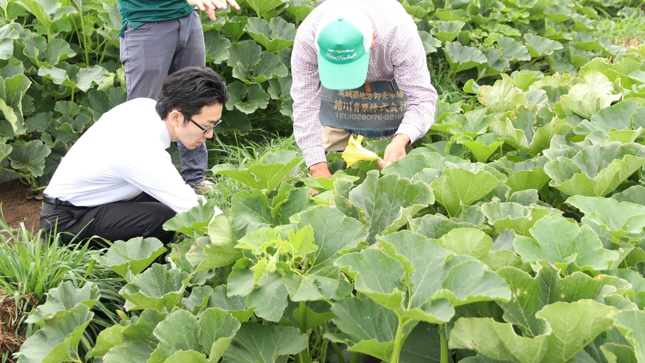 DEK|パティシエの求人画像1枚目