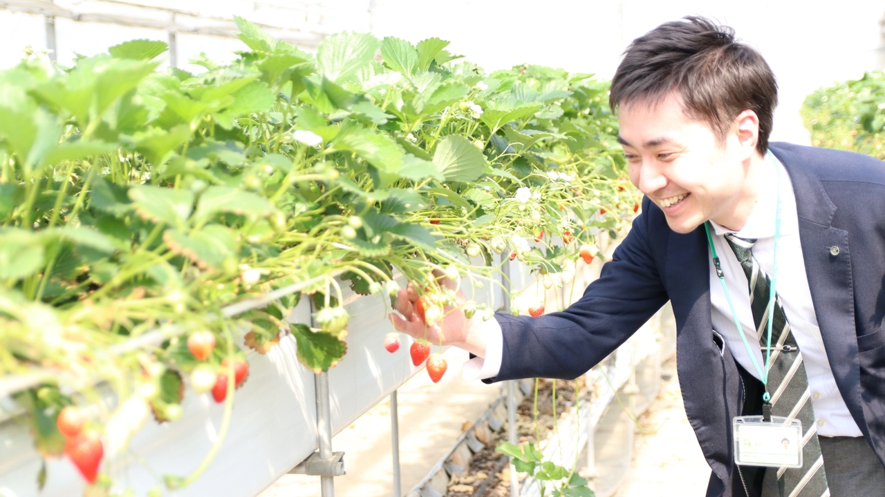 DEK|パティシエの求人画像3枚目