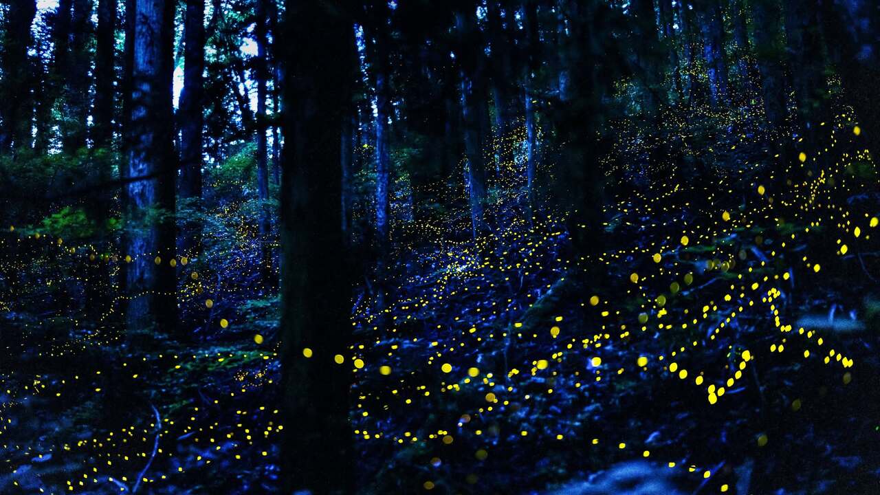 漆乃煌庵|パティシエの求人画像2枚目