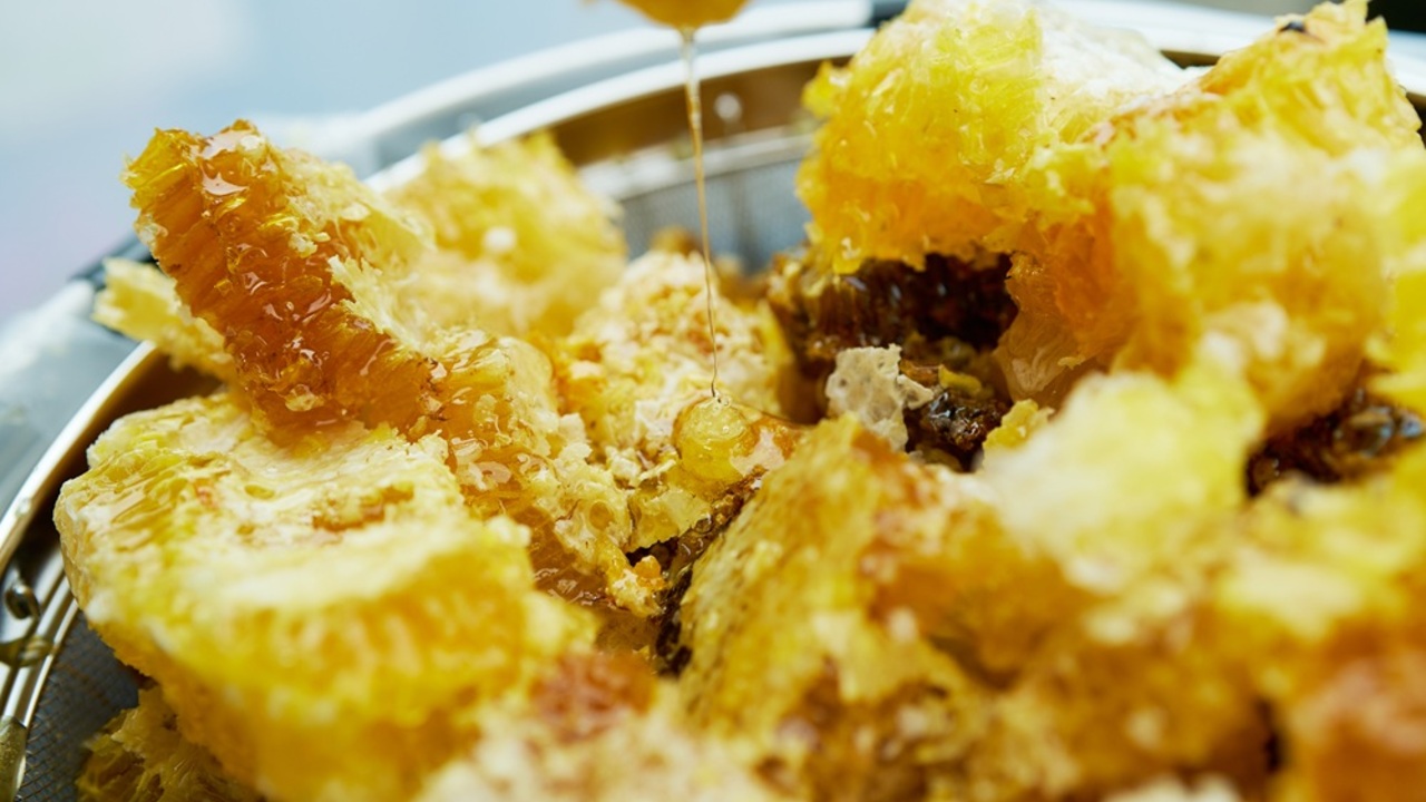 MSERRNT 広島F&B|商品開発の求人画像1枚目