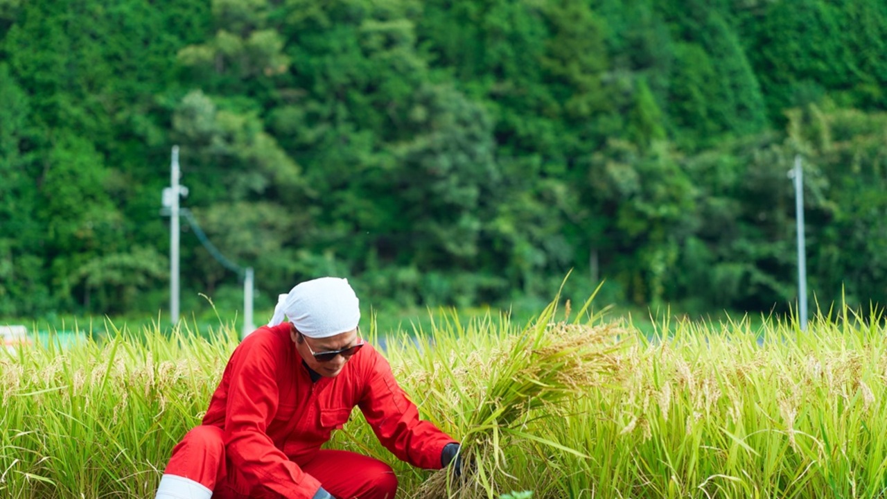MSERRNT 広島F&B|商品開発の求人画像4枚目