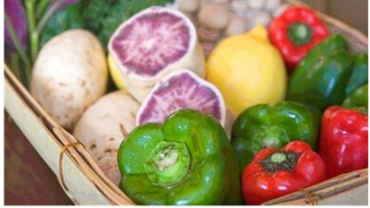 碧|調理見習い・調理補助の求人画像1枚目