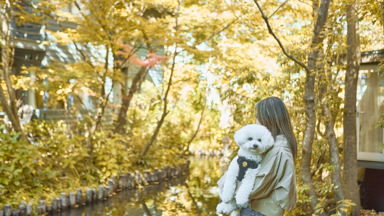 オーベルジュ・ド・プリマヴェーラ|レストランサービス・ホールスタッフの求人画像4枚目